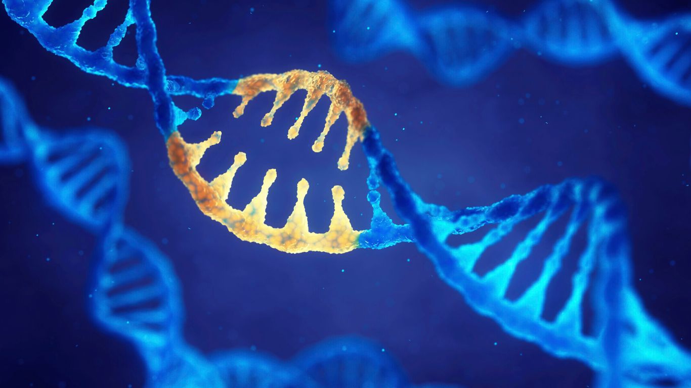 Introduction to Genetic Engineering for Beginners